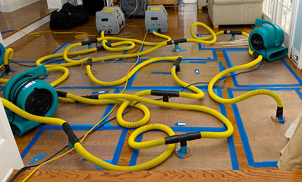 Professional Crawl Space Water Removal technician working in New Haven, MI